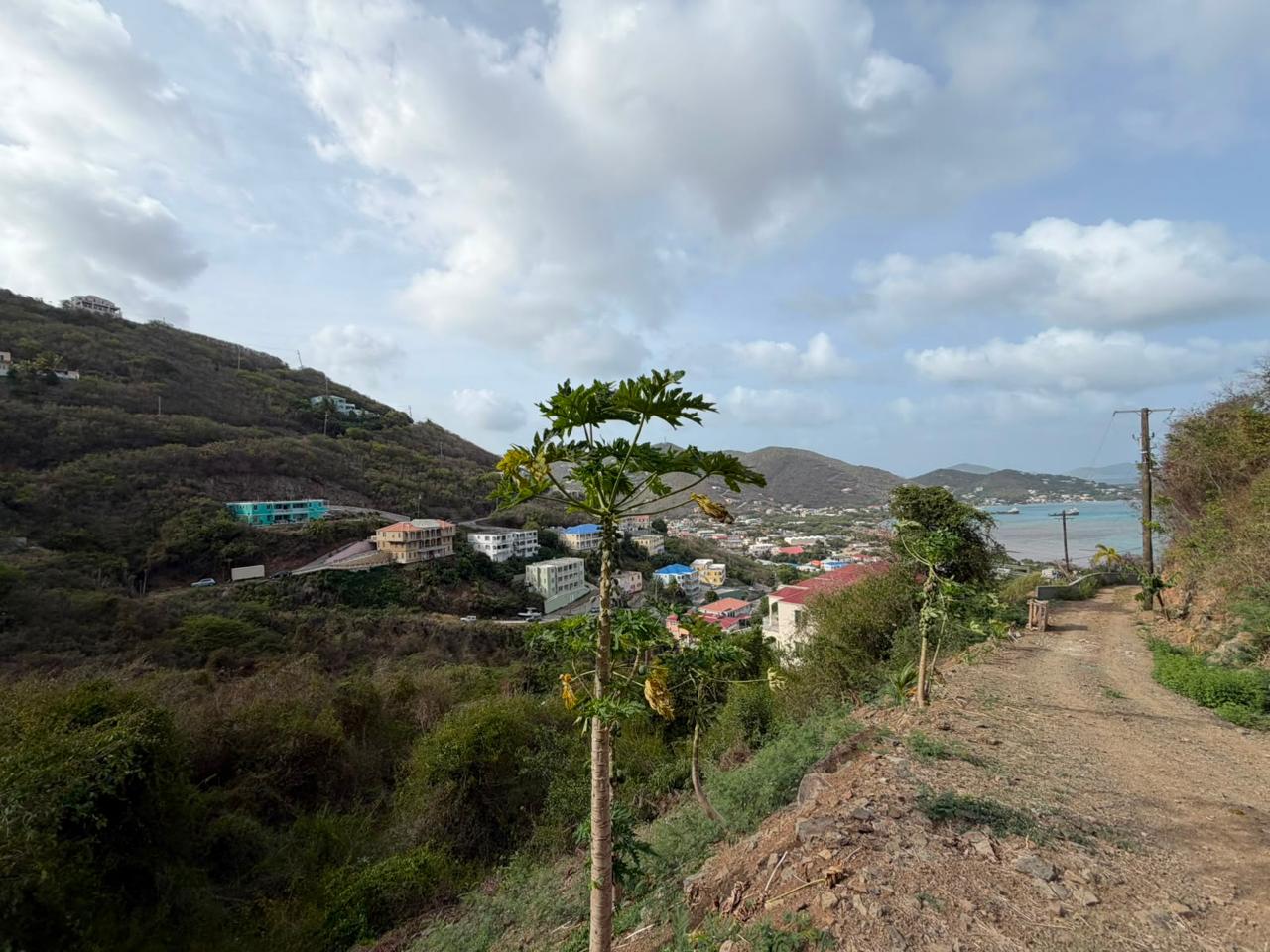 1138 Brady Ghut Hillside Land