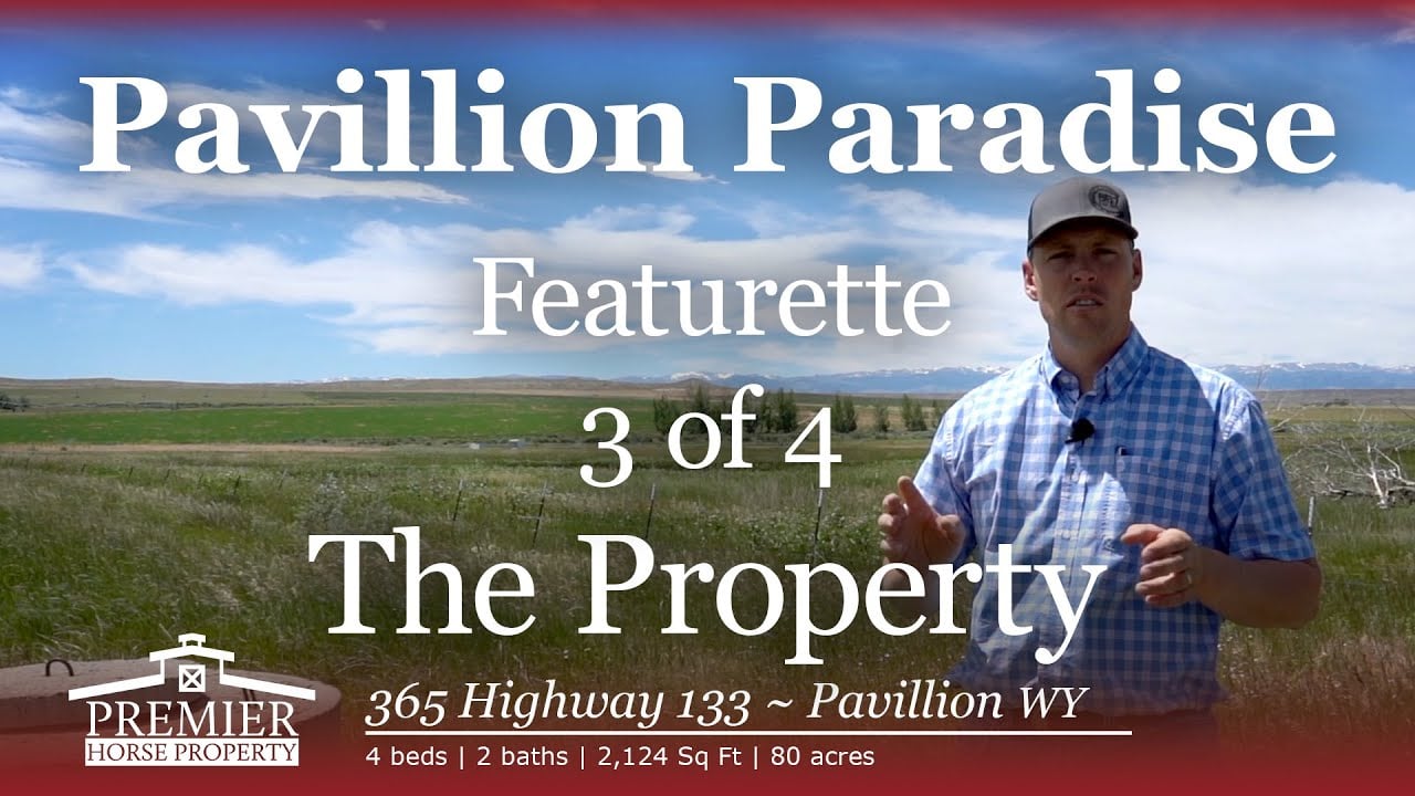 The Property - Pavillion Paradise, Pavillion WY