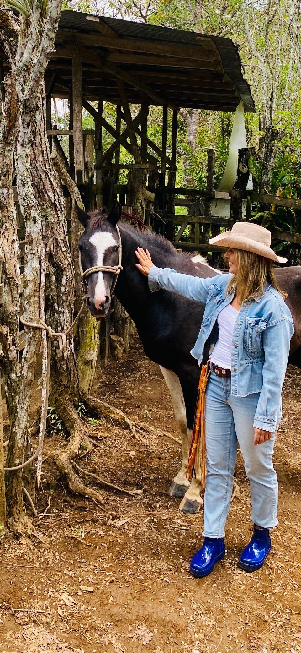 54 Acre Ranch in San Vito, Coto Brus