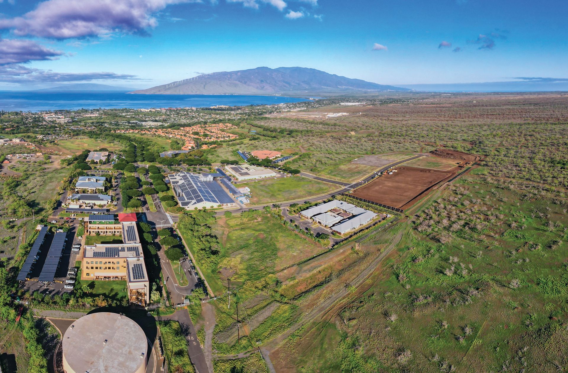 Lipoa - Maui