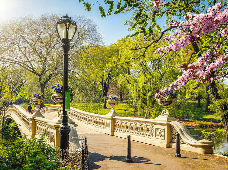 The Market Report: May 2025