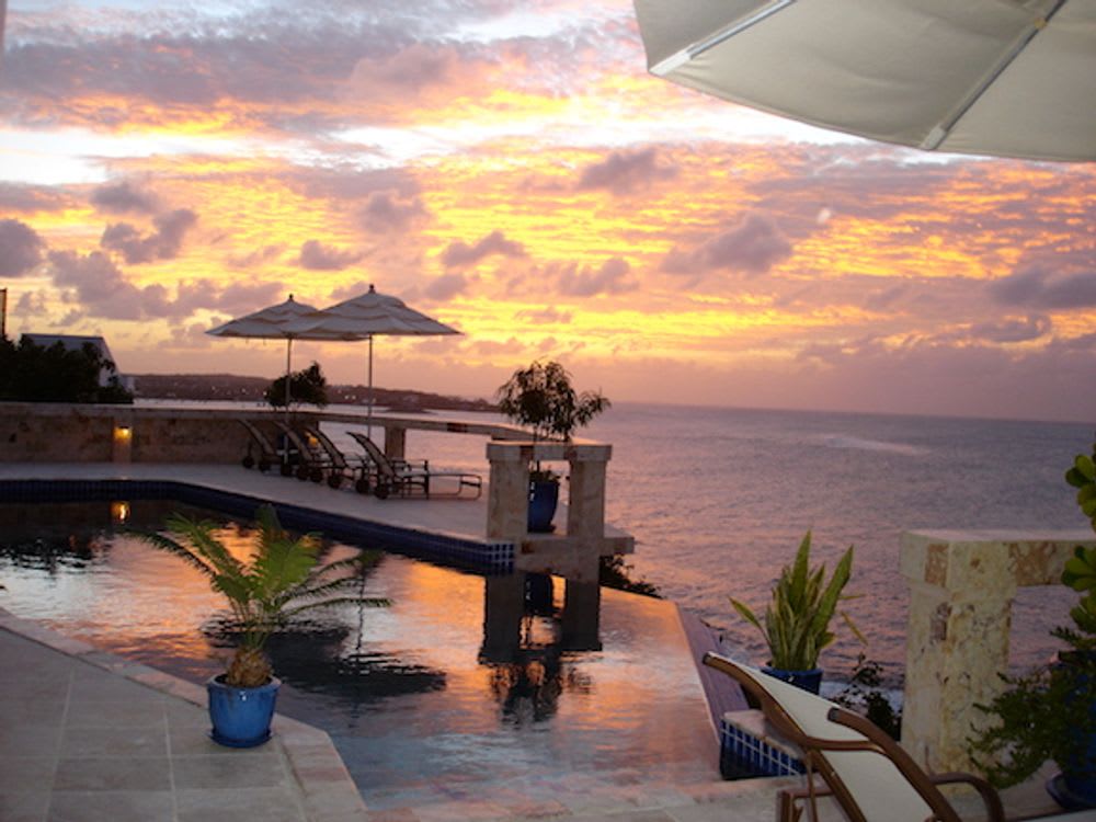 Desert Rose  - In Receivership