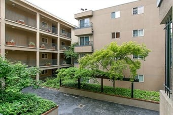 511 E Roy Street #313