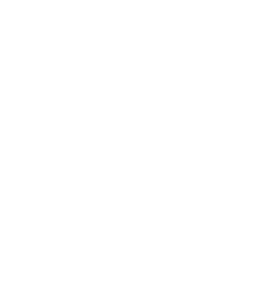 Light Logo