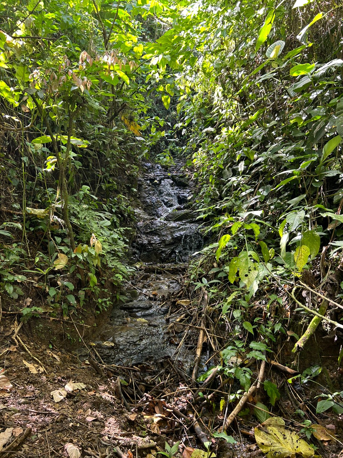 10-Acre Waterfall Farm with Amazing Valley and River View in San Isidro.