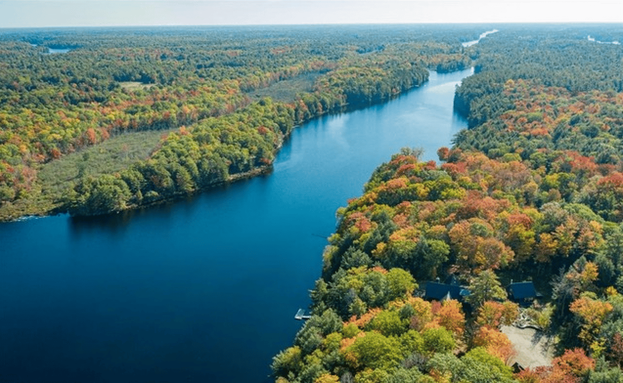 Bearpaw Lake*