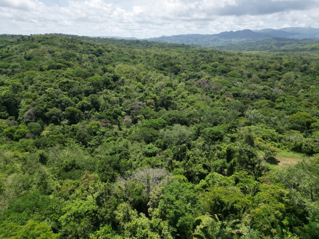 San Juanillo Farm | Large-Scale Ocean View Land with Investment Potential