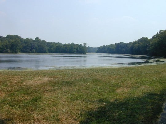 Millington