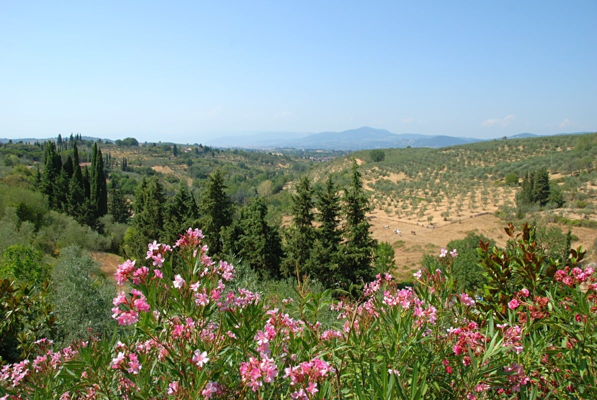 Villa Moderna