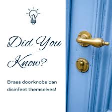 Fact card says brass doorknobs can disinfect themselves, beside a brass handle on a blue door.
