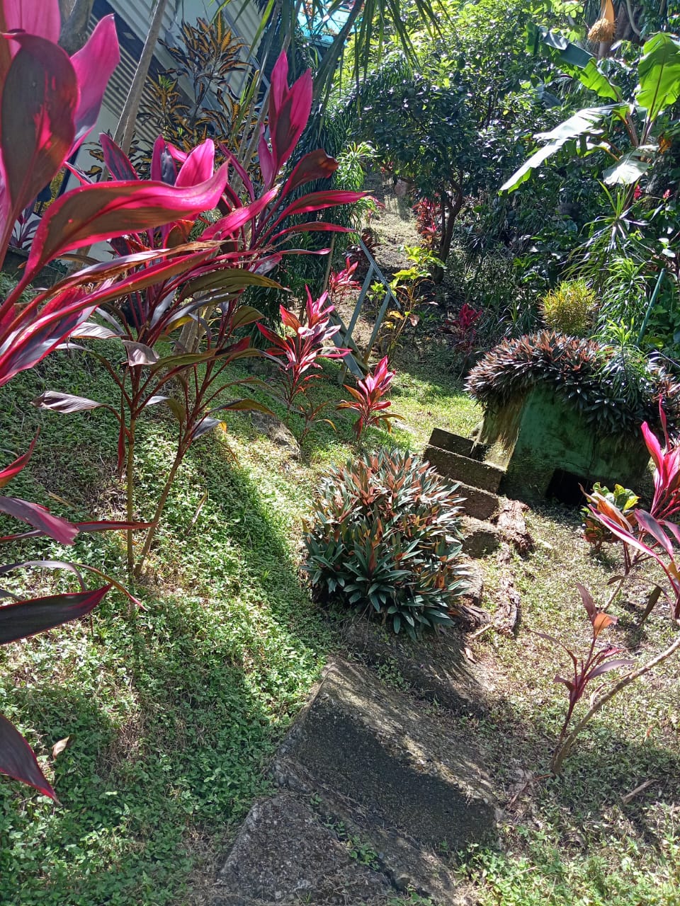 M. A. Ocean View Apt.