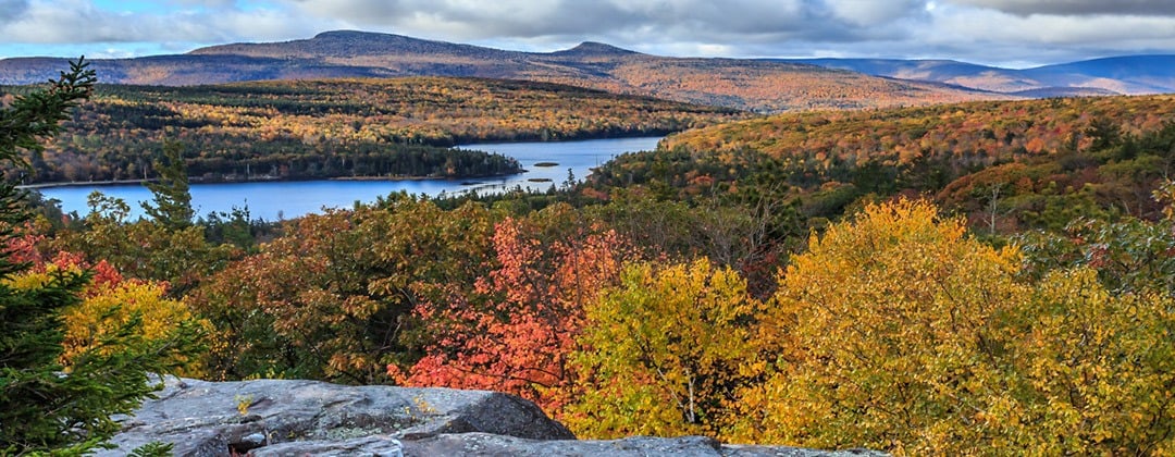 Saugerties