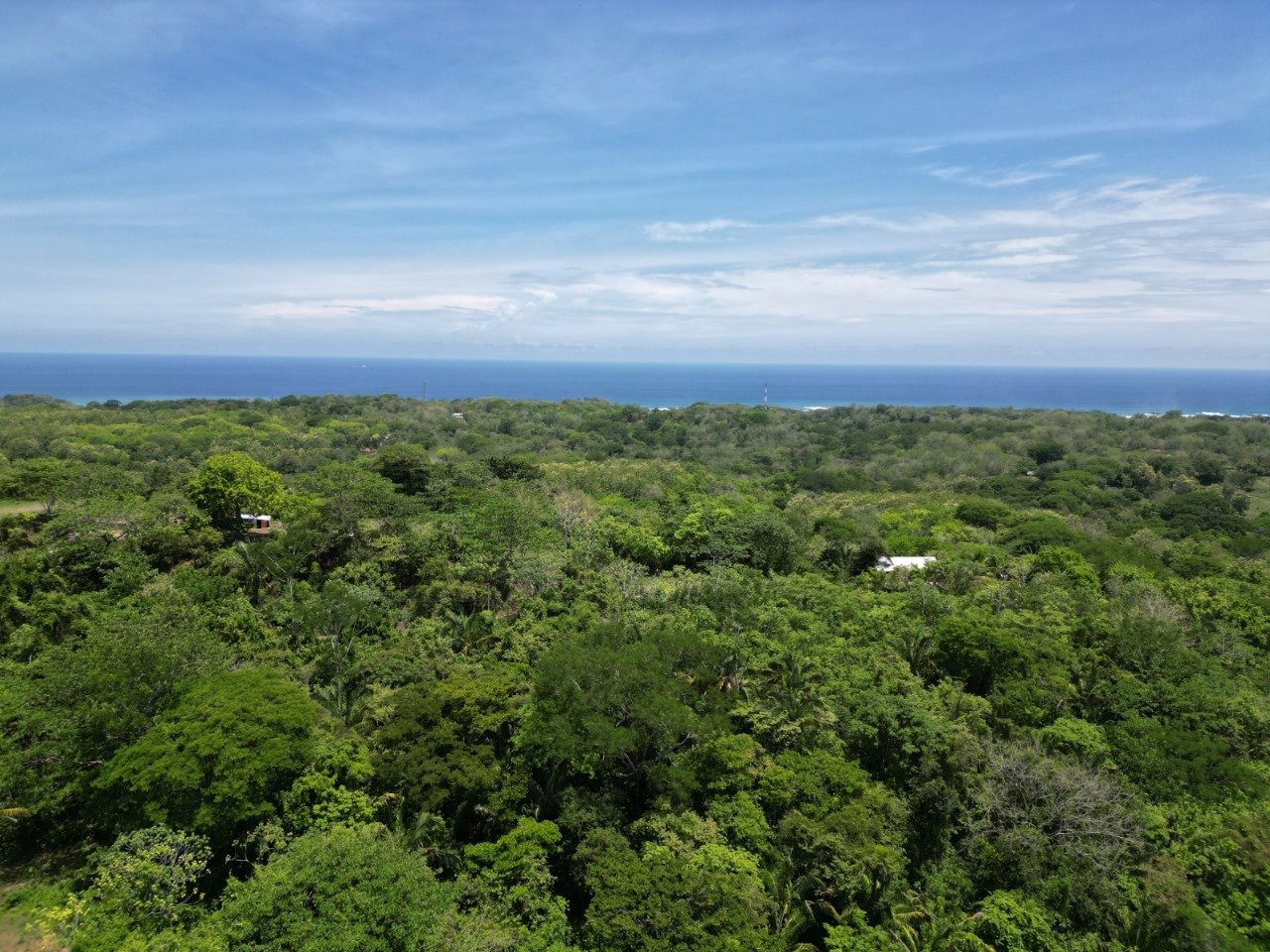 Aerial view of tropical forest stretching to the ocean, with a few scattered buildings.