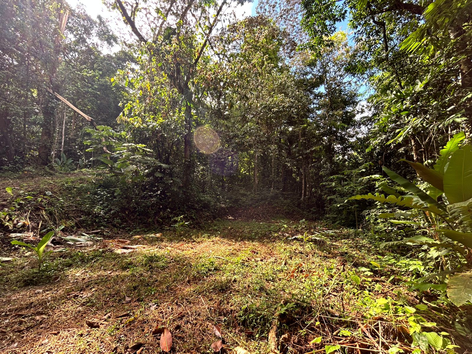 1.4-acre gated lot in Uvita.