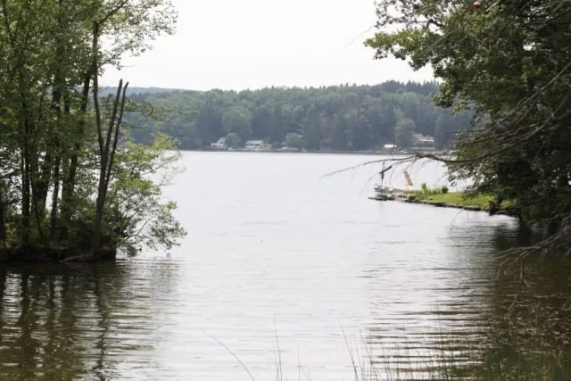 Life at the Lake