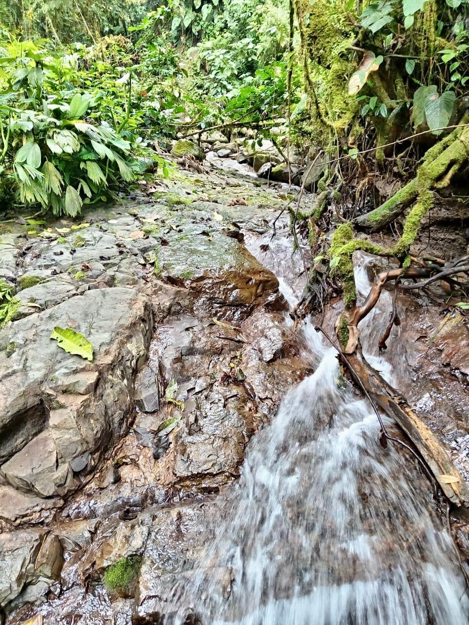Los Cerritos Farm – 6.4 Acres of Ocean & Mountain Serenity