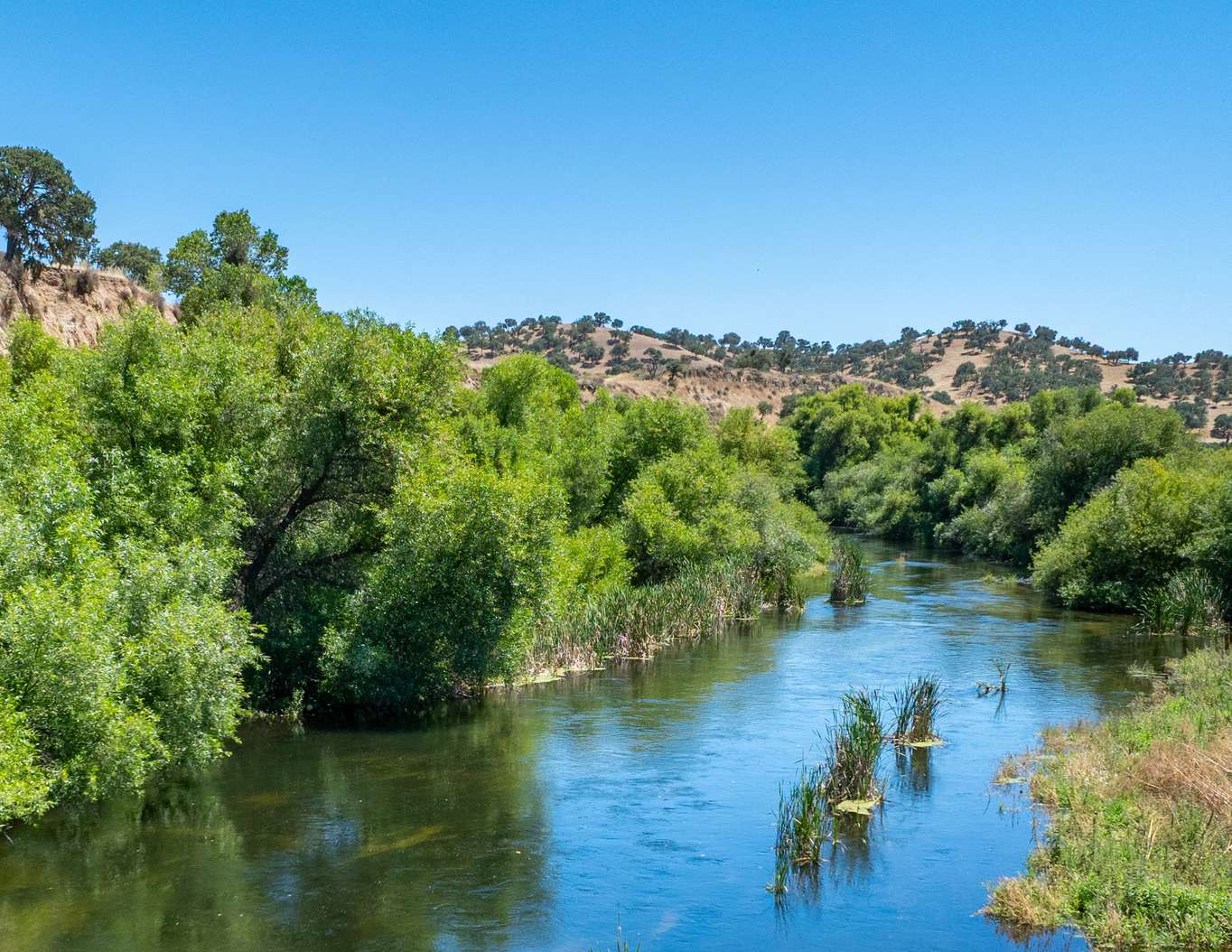 Joseph Vineyard | 76987 Nacimiento Lake Drive