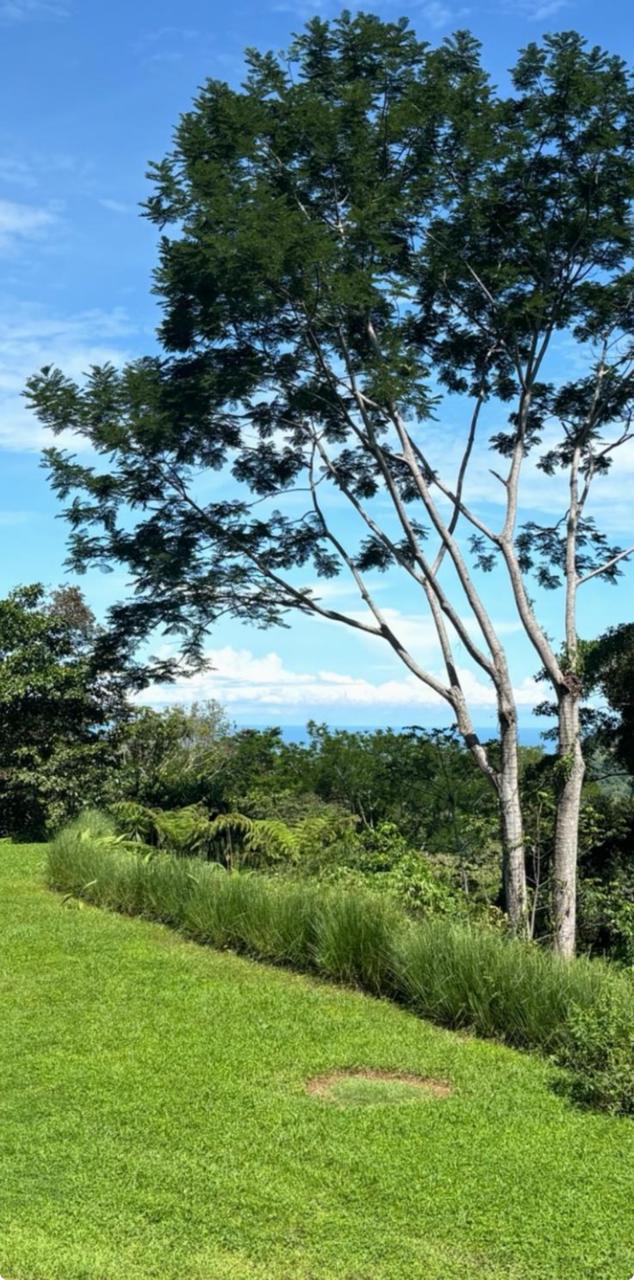 Build Amidst Untouched Jungle & Mountain Vistas | Ocean-View Estate with Fruit Orchards + Casita Design Your Vision in Tres Rios, Costa Rica