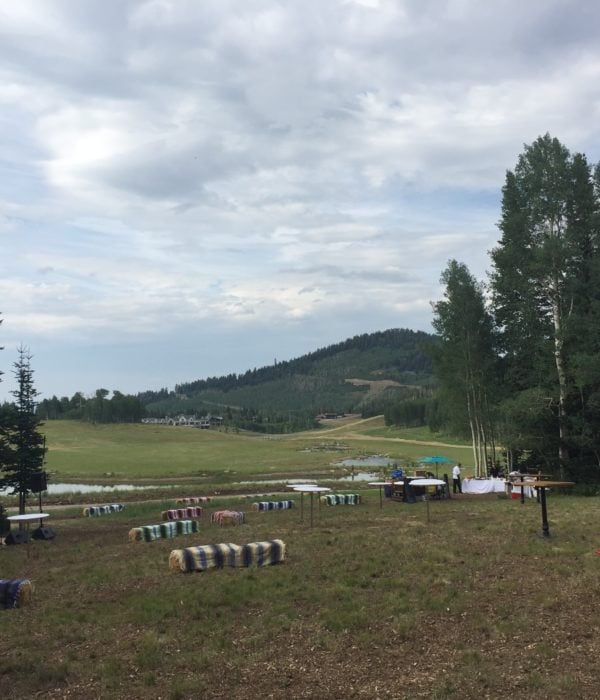 Music in the Meadows