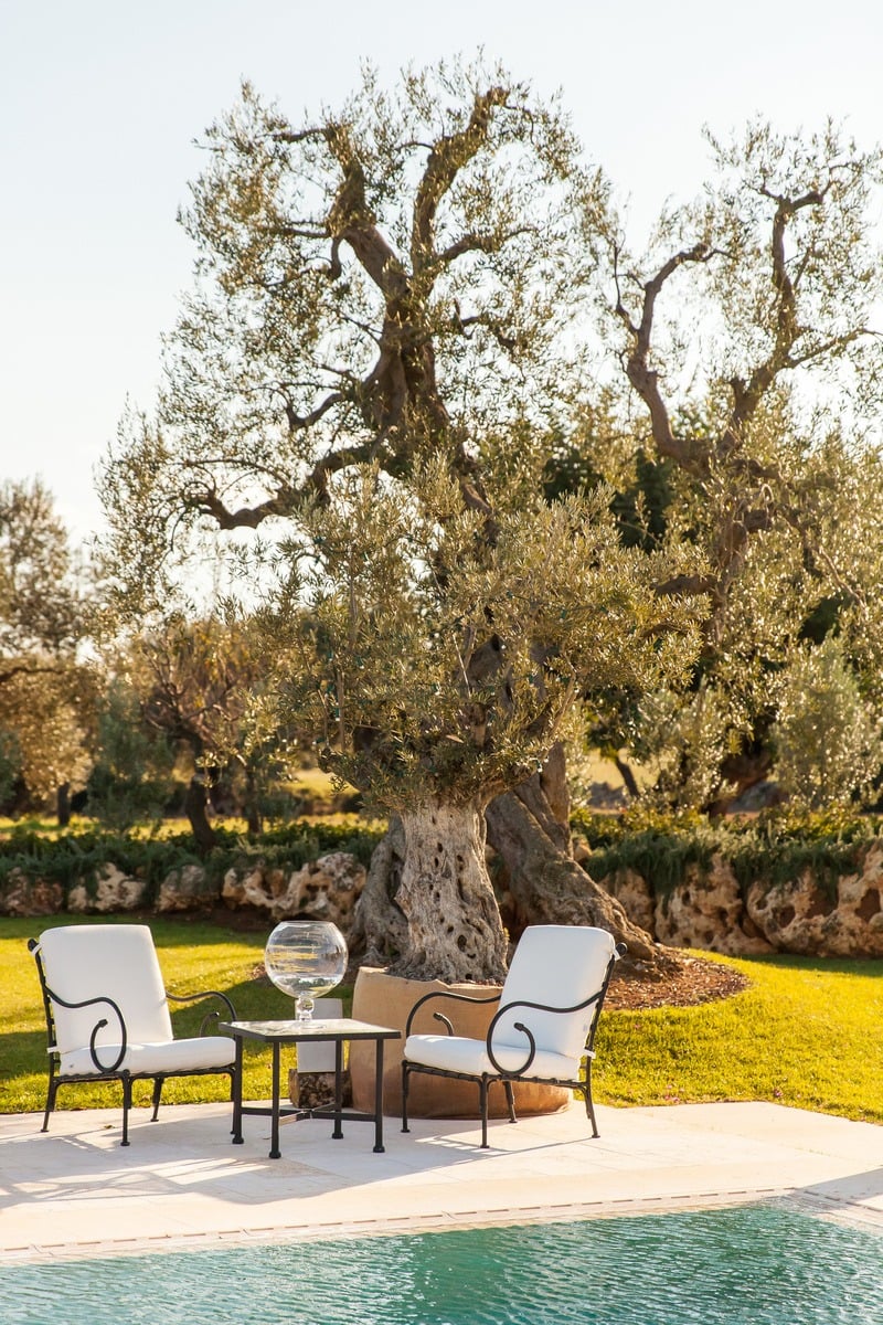 Intimate Villa Surrounded by Olive Trees Near the Town of Fasano