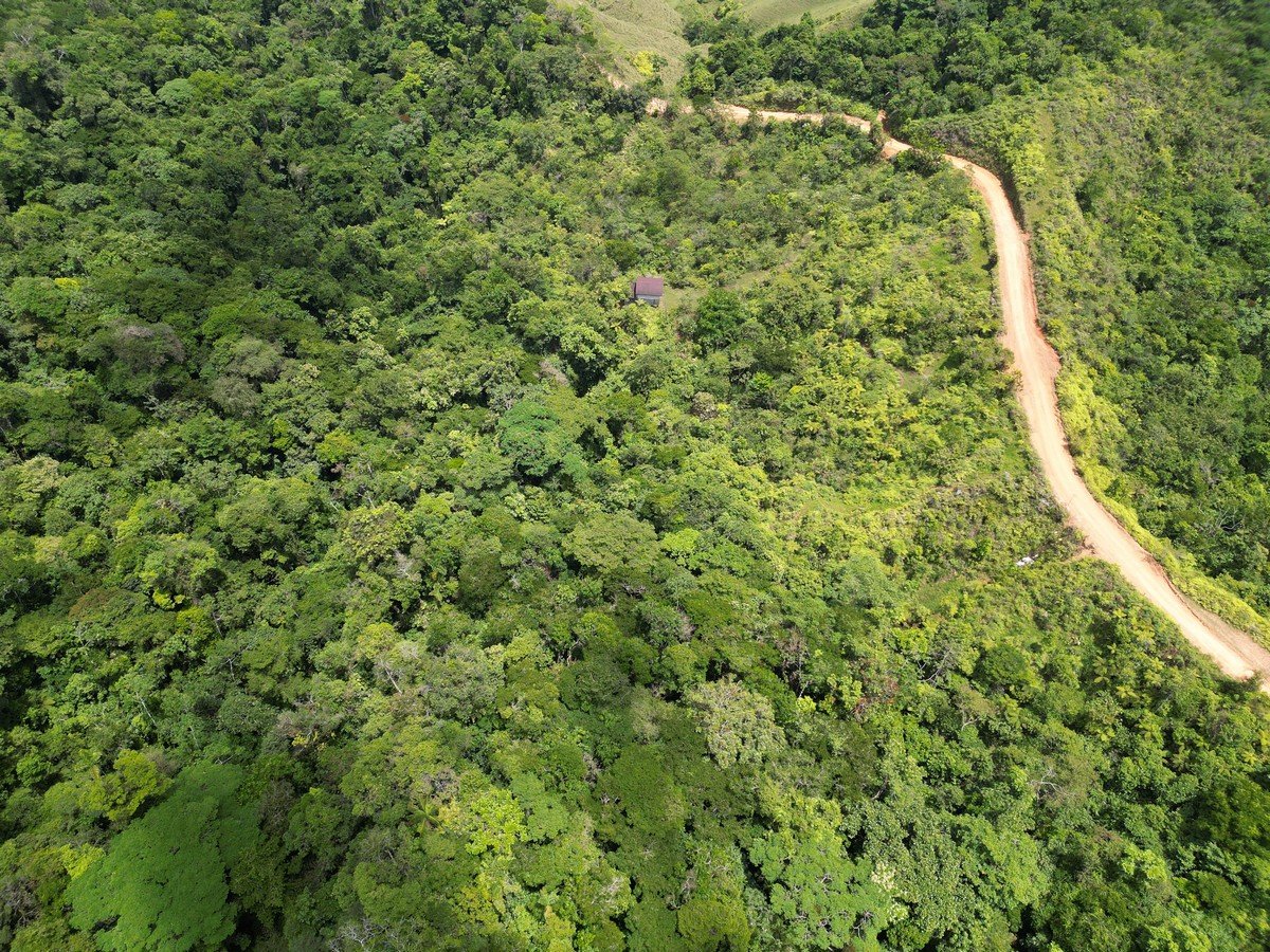 32 ACRES – Mountain Land With Spring, Jungle & Usable Space!!!!