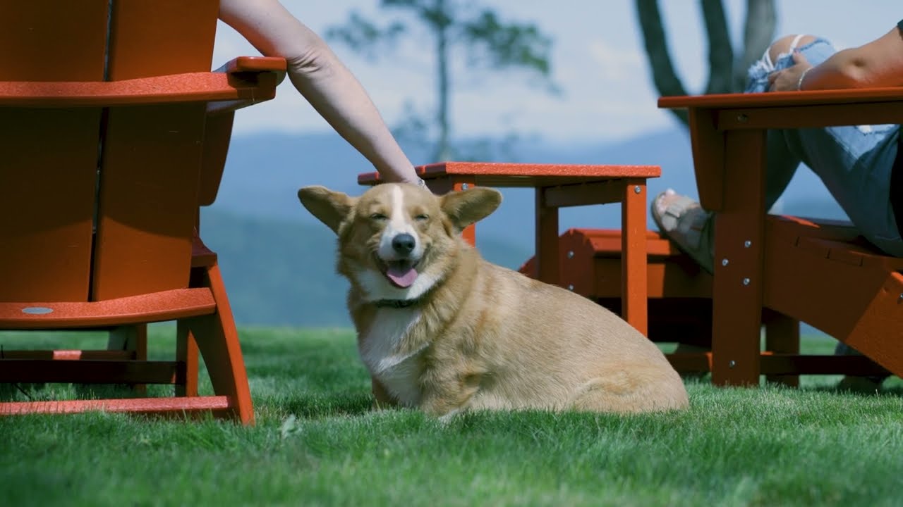 Living in the Clouds - Sprout Mountain