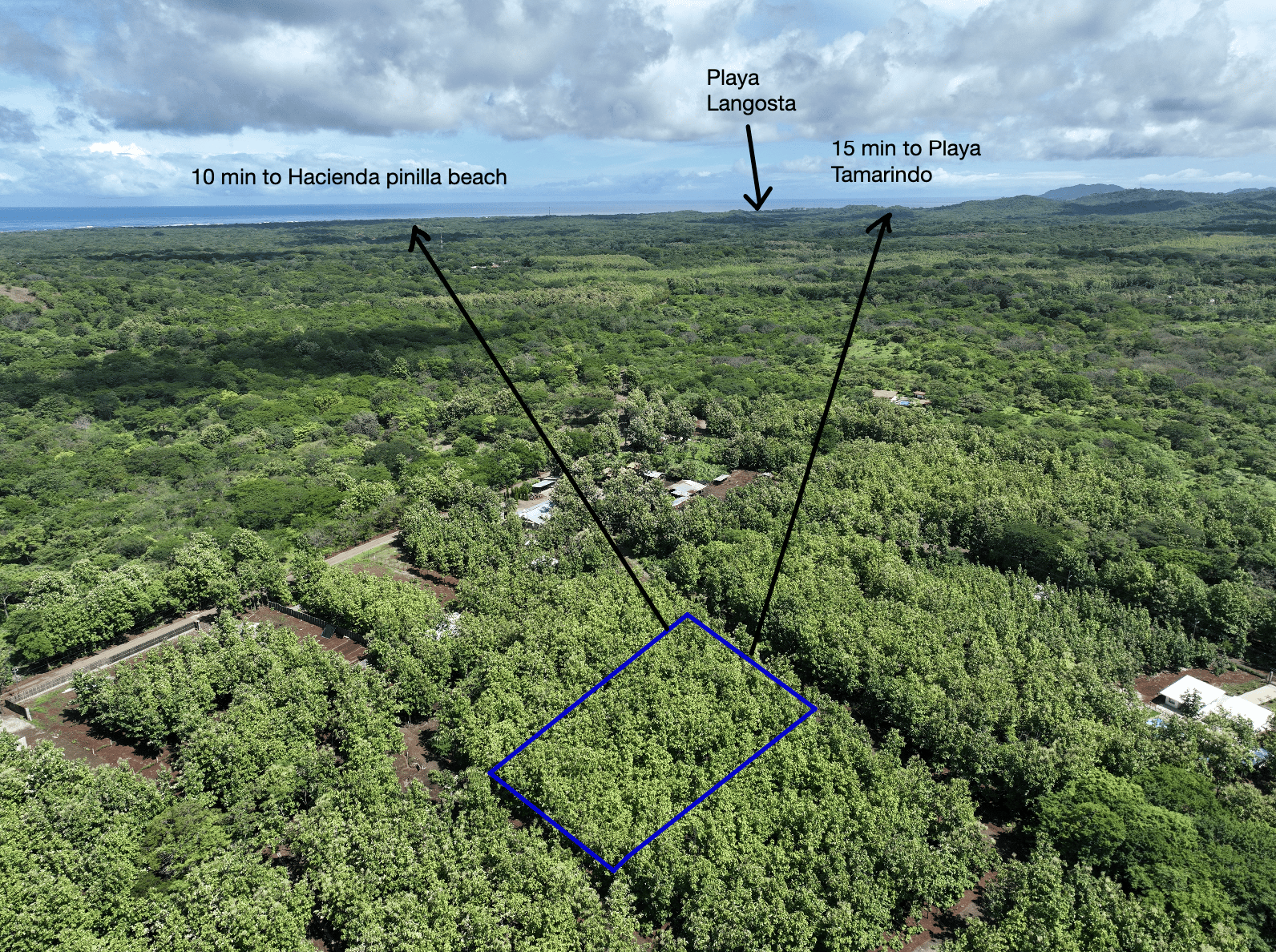 Lot #17 in Pinilla Teka | 5,000m² Lot in Altos de Pinilla, Tranquility and Opportunity 10 Minutes from Playa Avellanas!