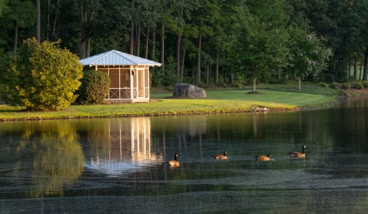 NC 330 Acre Legacy Equestrian Estate 