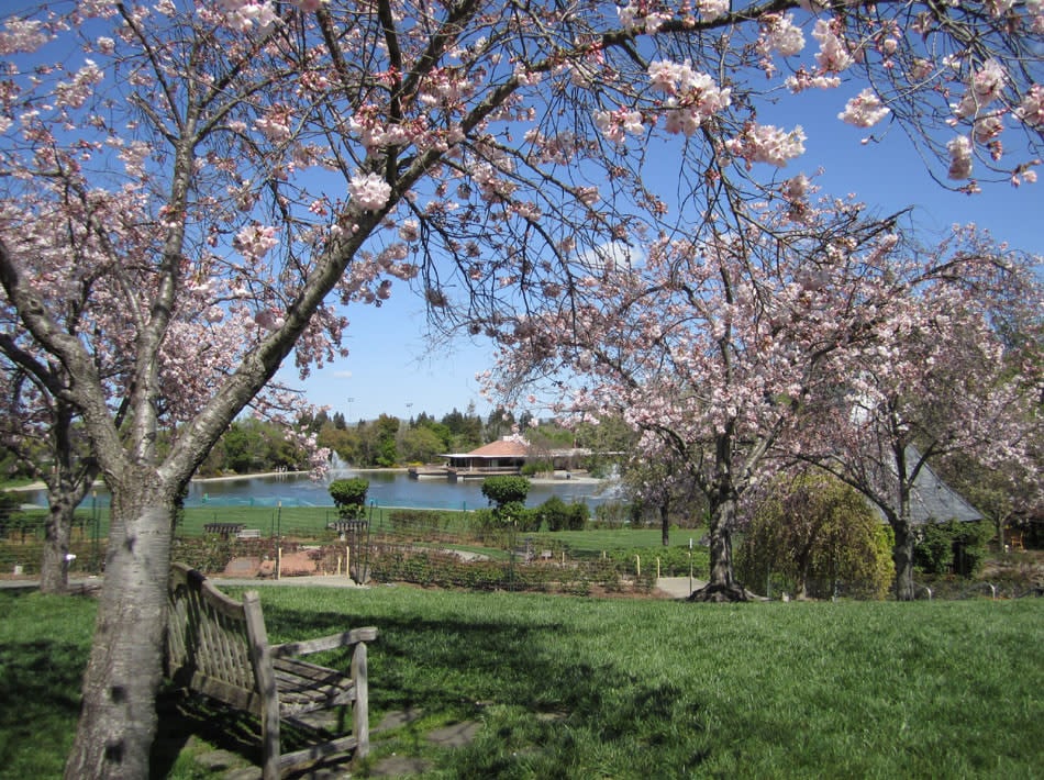 Walnut Creek