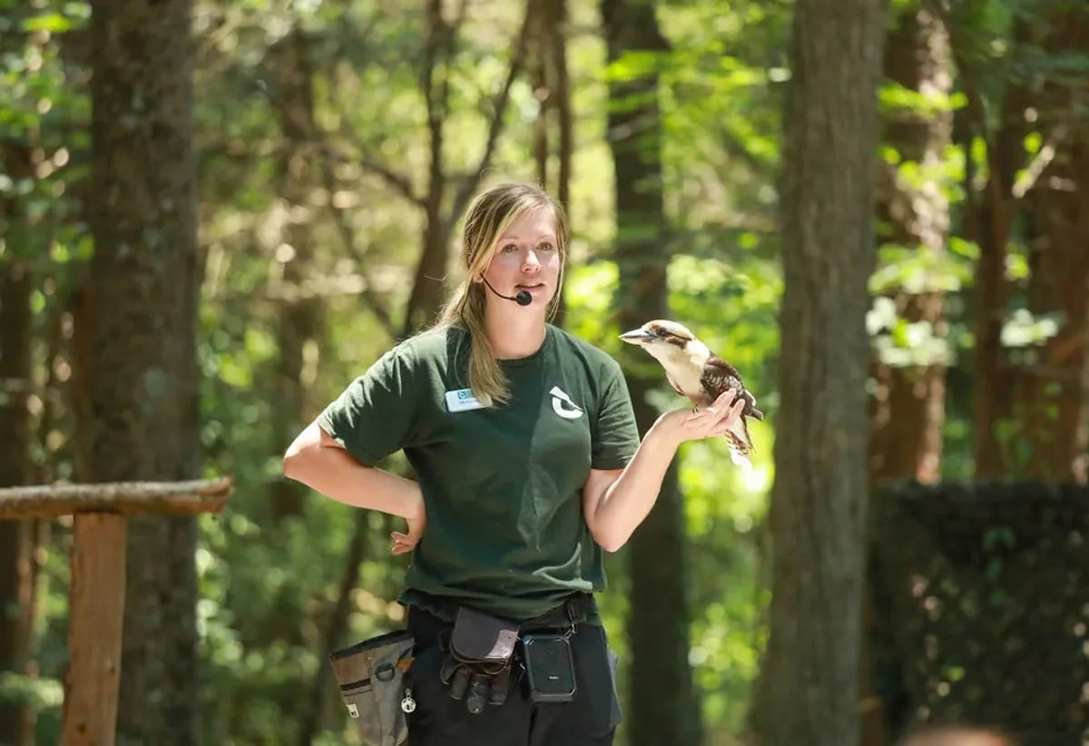 Carolina Raptor Center