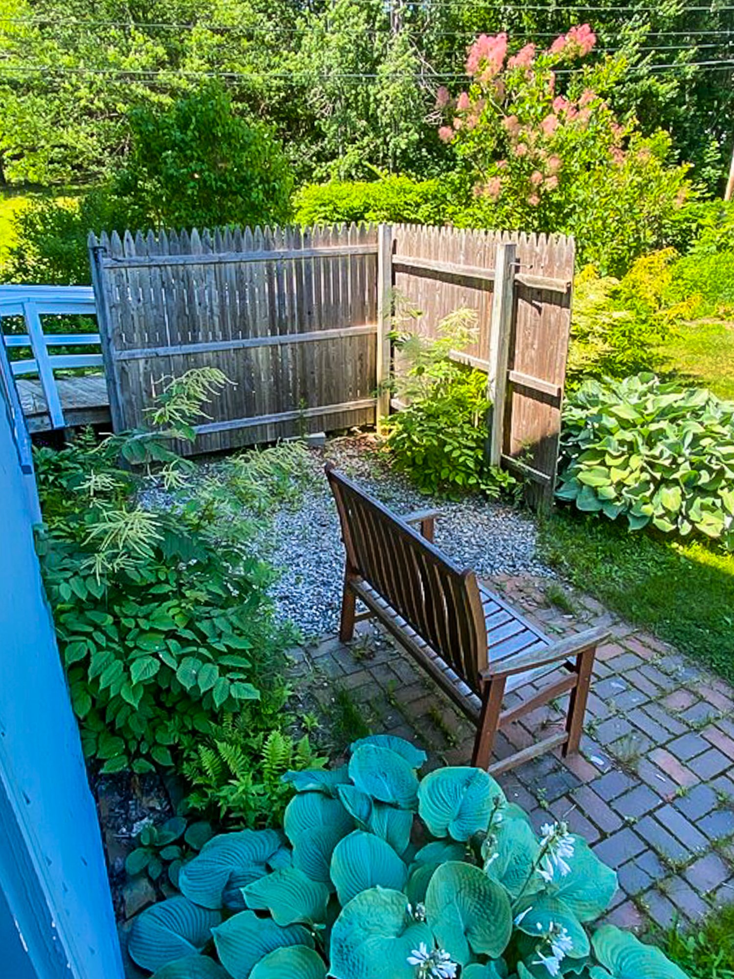 Rental Available September 1st