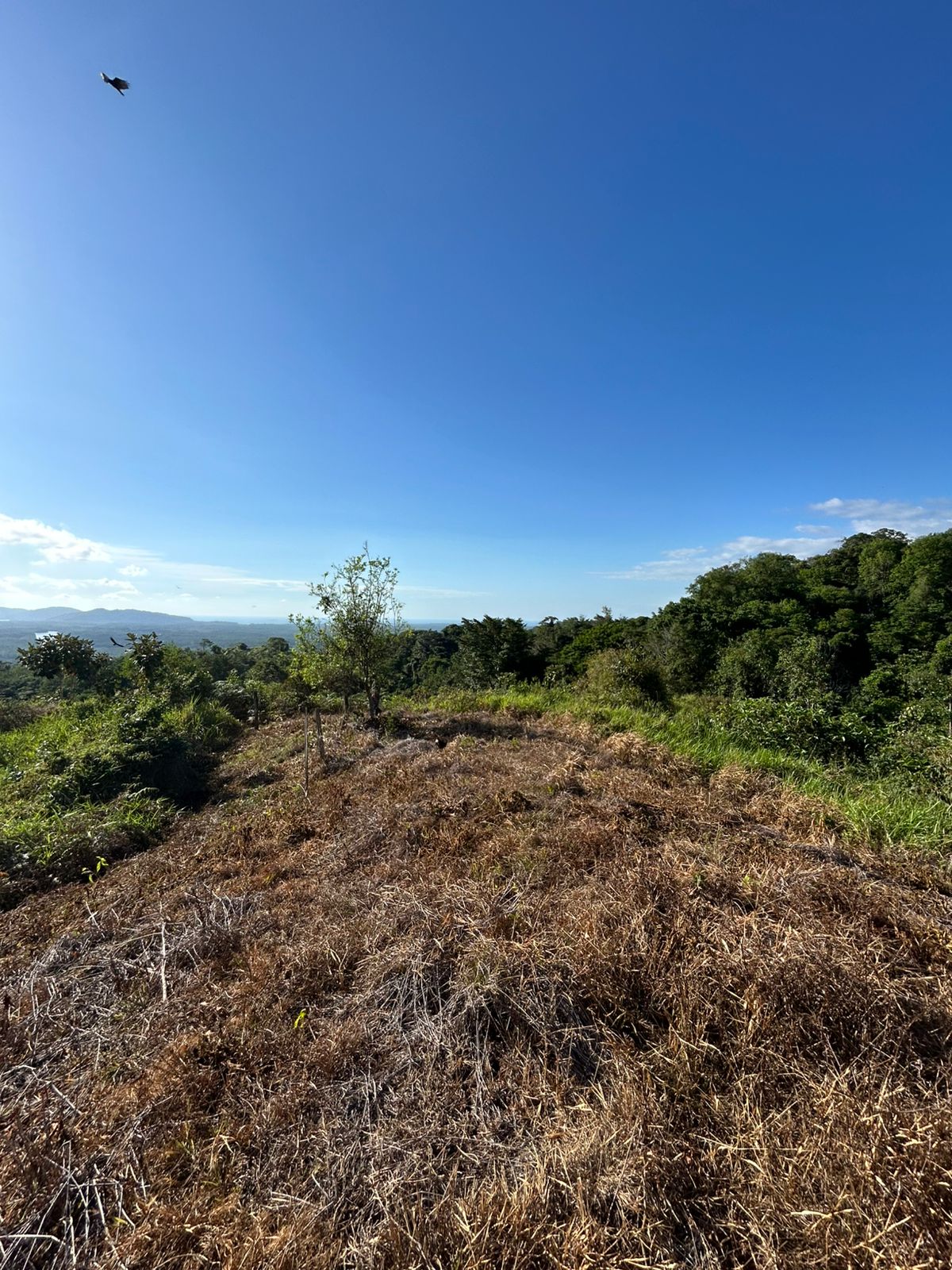 67 acres development (15 titled lots) with breathtaking views in Sierpe