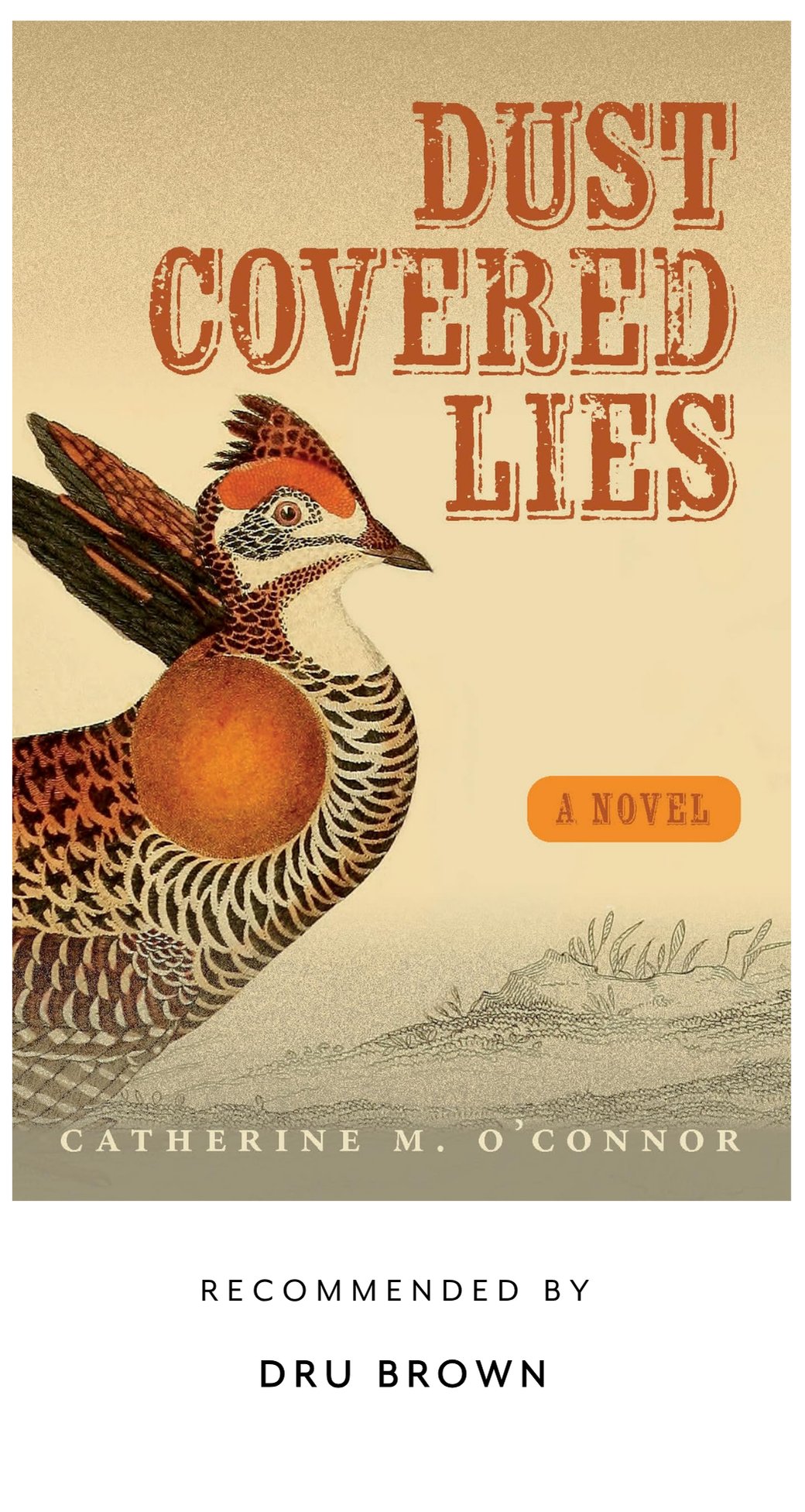 Book cover for "Dust Covered Lies" by Catherine M. O'Connor, featuring an illustrated bird and text recommending it by Dru Brown.