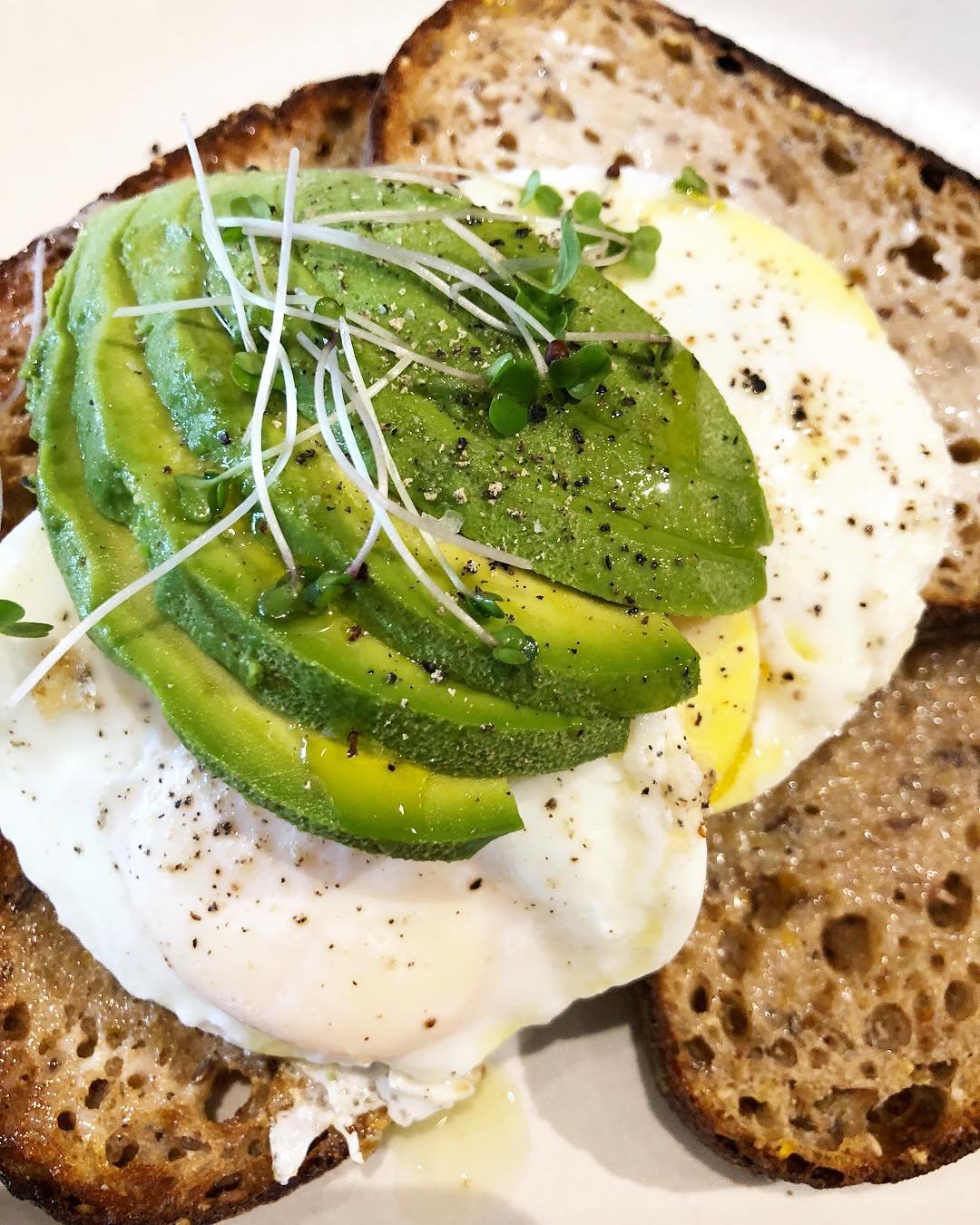 15 Best Spots for Avocado Toast in Sonoma County