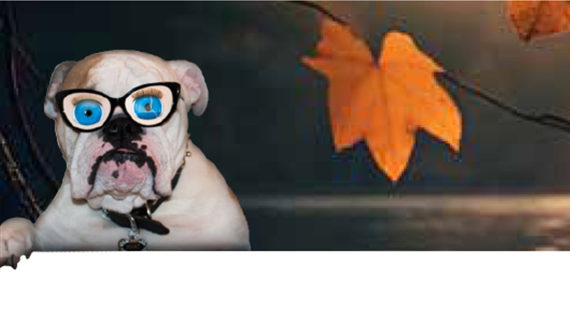 September - October 2025 Events Around The Lake