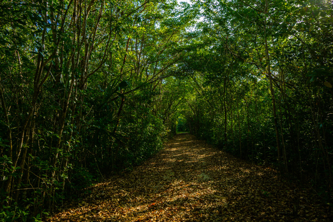 Rancho Del Cielo Maya