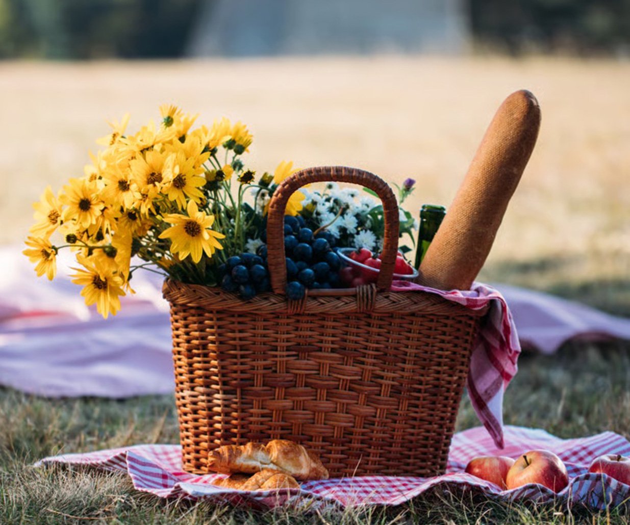 2nd Annual Picnic on the Peninsula