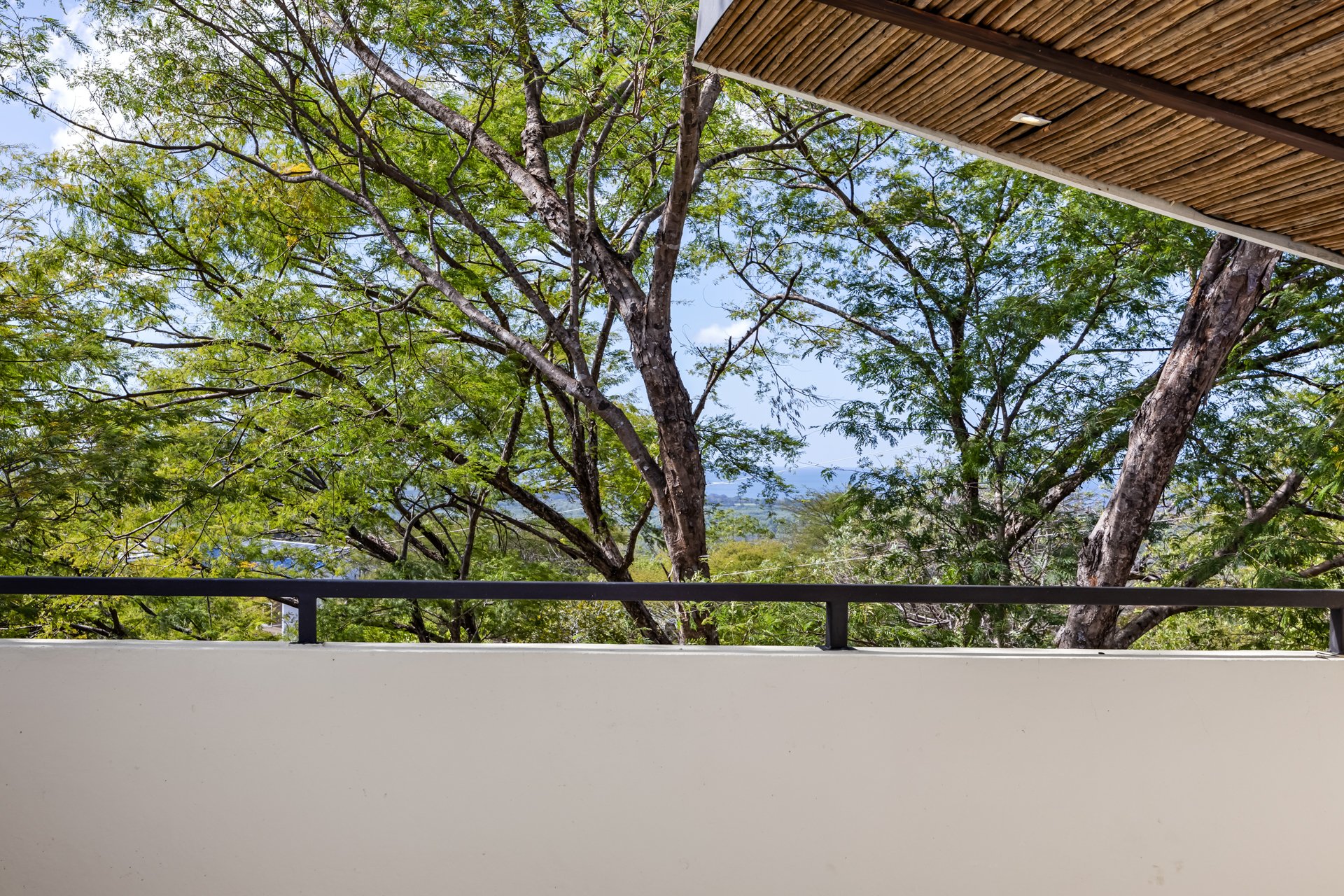 Corona Del Cabo 4 | Main Home + Guest House with Views & Pool – Playa Grande