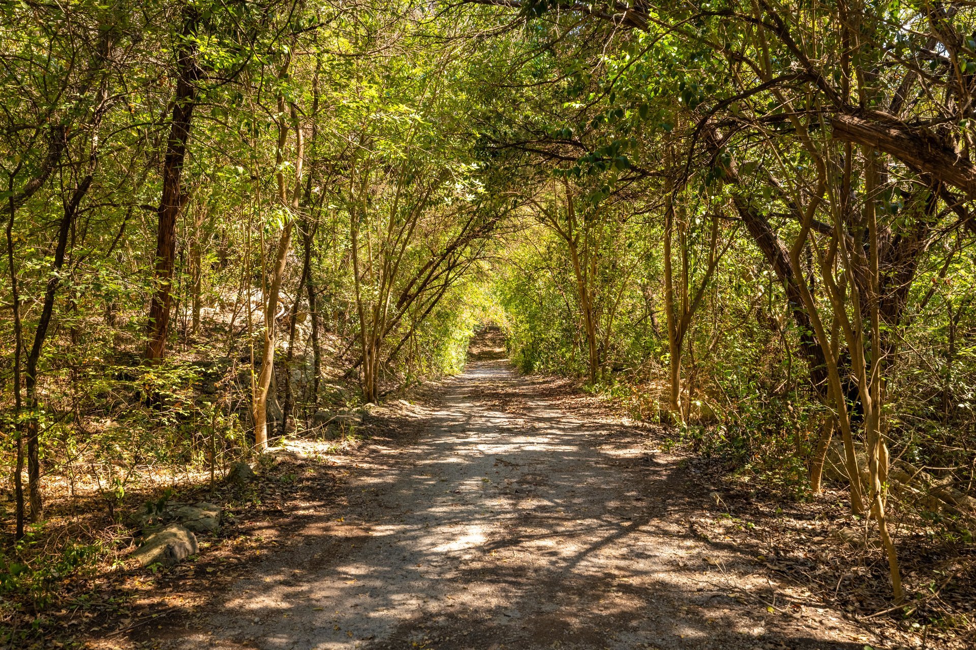 Lake Travis Waterfront Opportunity
