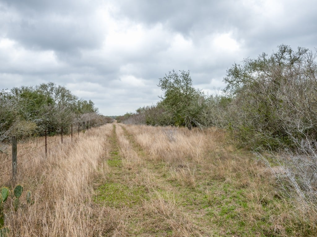 300 Acres in Goliad County 