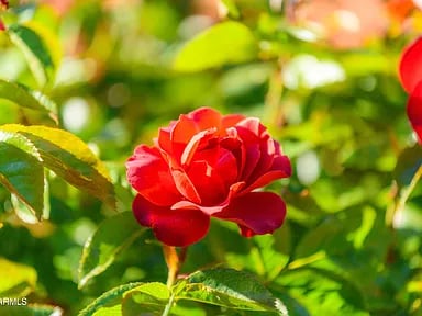 2272 ROADRUNNER Road, Sedona