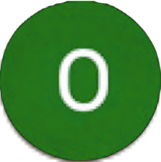 Ophir E.