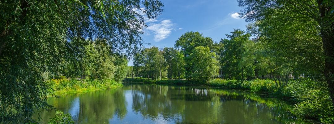 Explore the Florida Panhandle: 3 Communities You'll Love