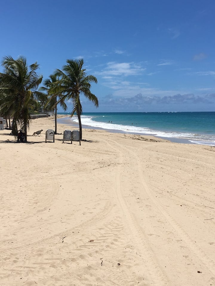 Beach House Apt 6 • Cozy Studio + Terrace Access - Airbnb