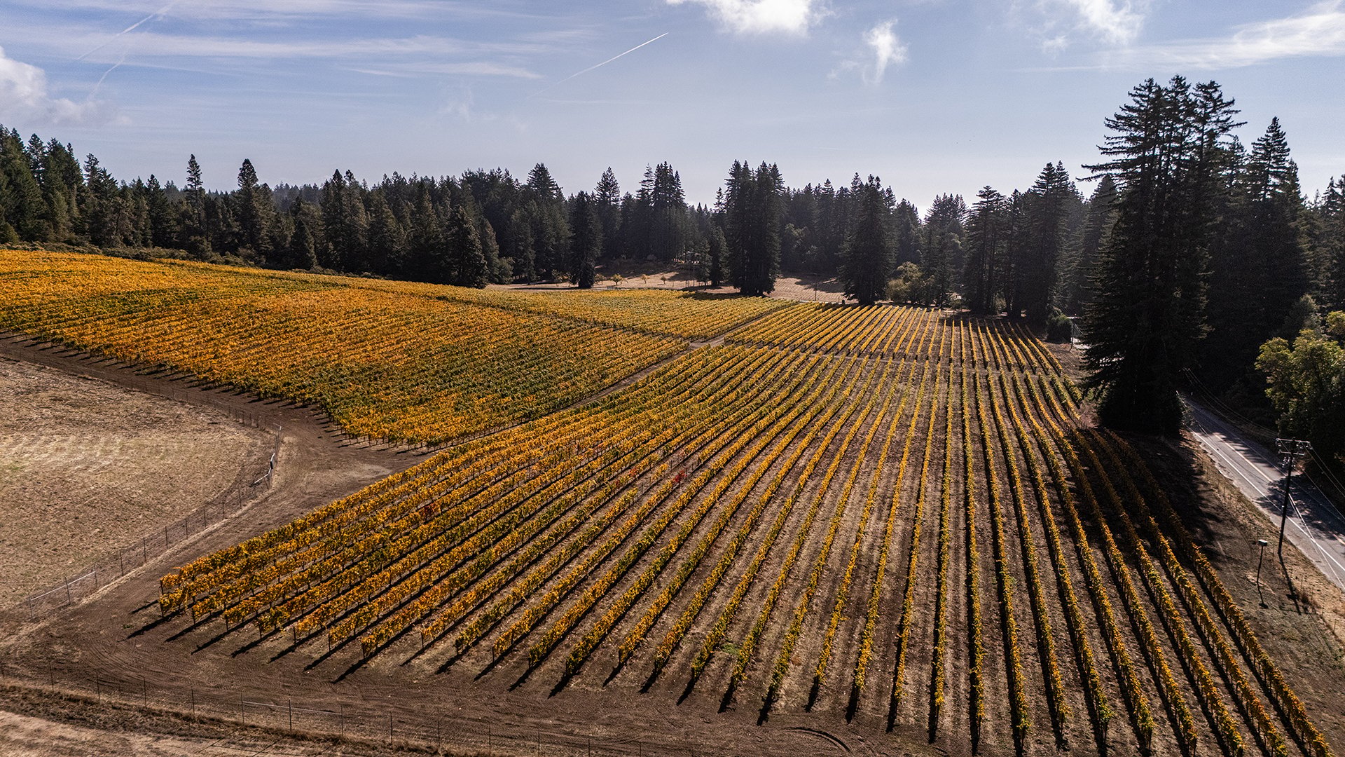 Santa Cruz Vineyard & Horse Property