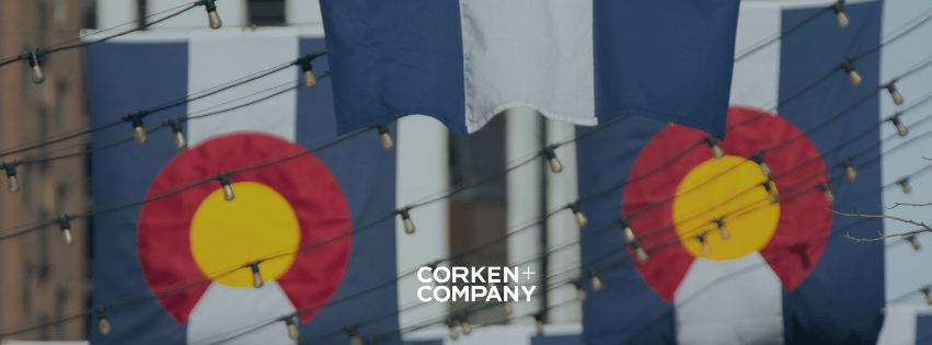 Luxury Real Estate in South Denver: A Market Overview