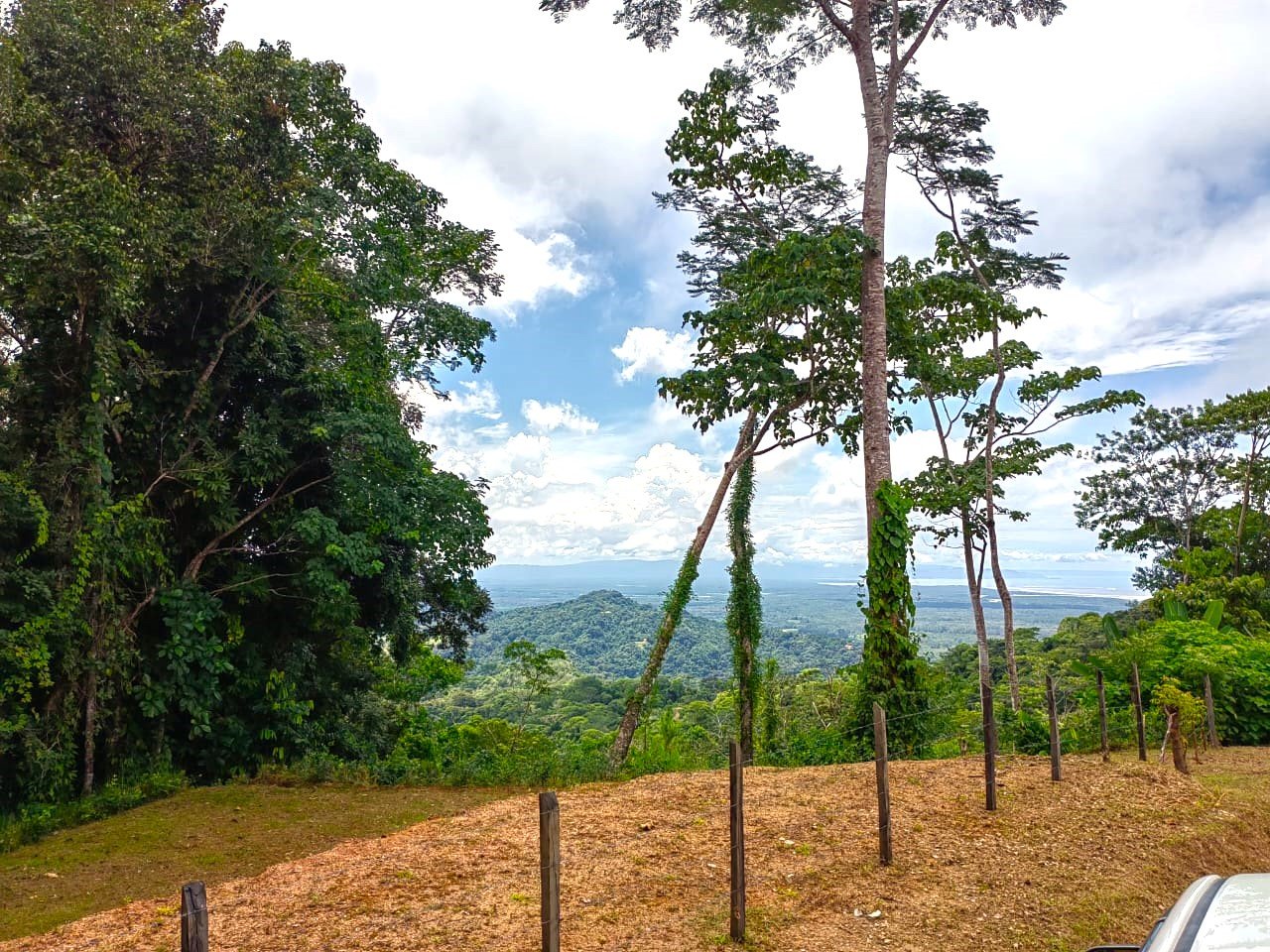 0.46 ACRES – Ocean View Land With Ready To Build Site, 2 Minutes Away From El Pavon Waterfall, Utilities On Site & Virgin Forest!!!