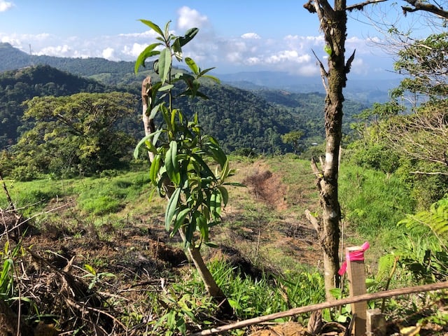 1.24 ACRES – Alto de San Juan, TOP OF THE WORLD VIEWS, Cool Breezes, Ready to Build Your Dream!!!!!