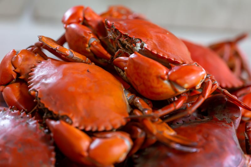 Guide to Sonoma County Crab Feeds 2025