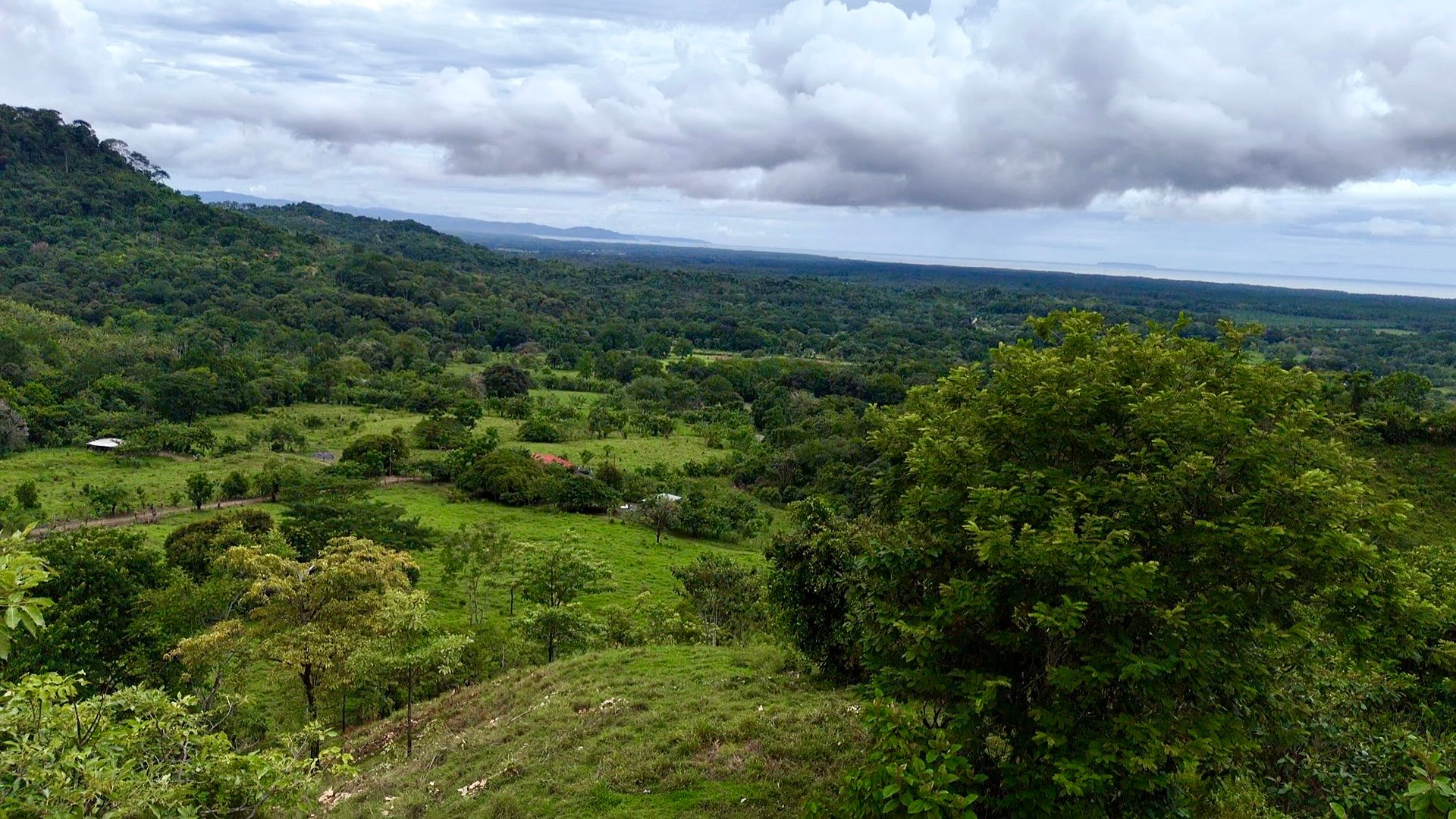 Ocean View Sanctuary in San Buenas – 4.94 Acres of Pastures & Easy Accessaccess